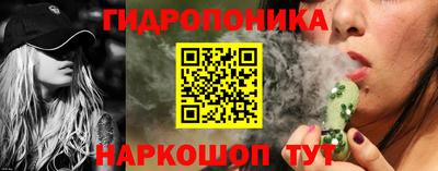 прущие крисы Братск